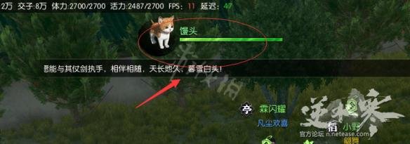 《逆水寒》猫在哪？宠物猫获取图文指南 1