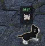 《逆水寒》猫奴称号获得方法 大宋铲屎官称号怎么获得？ 6