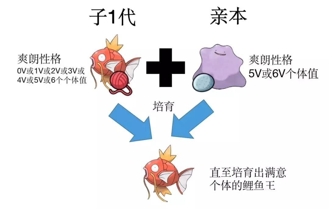 宝可梦剑盾怎么孵蛋 宝可梦剑盾孵蛋全攻略 3