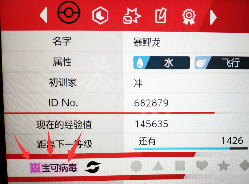 宝可梦剑盾病毒是什么 宝可梦剑盾病毒有什么作用 1