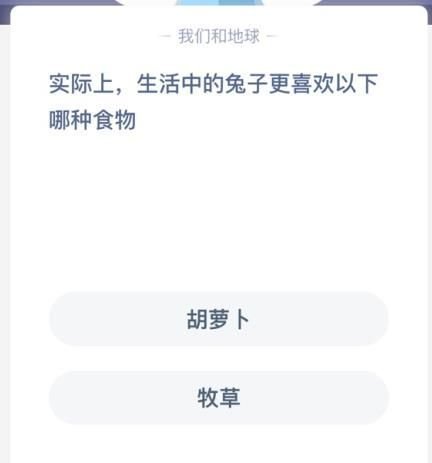 蚂蚁庄园兔子更喜欢吃什么_兔子更喜欢哪种食物答案分享 1